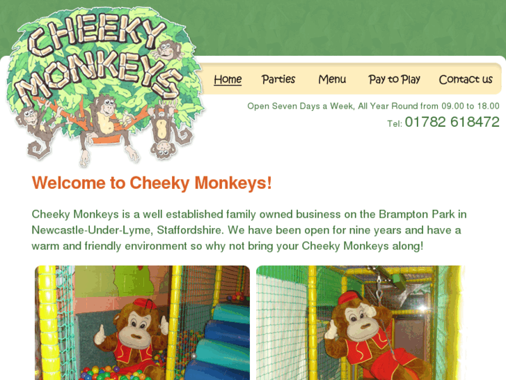 www.cheekymonkeysplayarea.net