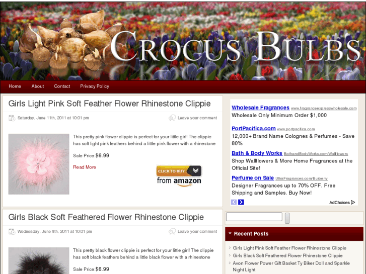 www.crocusbulbs.org