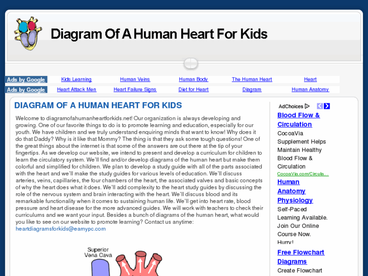 www.diagramofahumanheartforkids.net