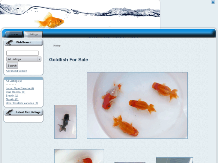 www.goldfishhawaii.com