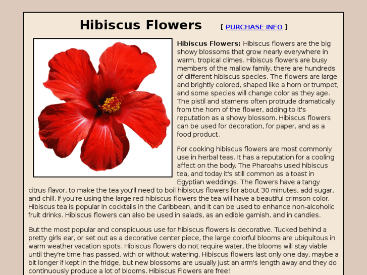 www.hibiscus-flower.com