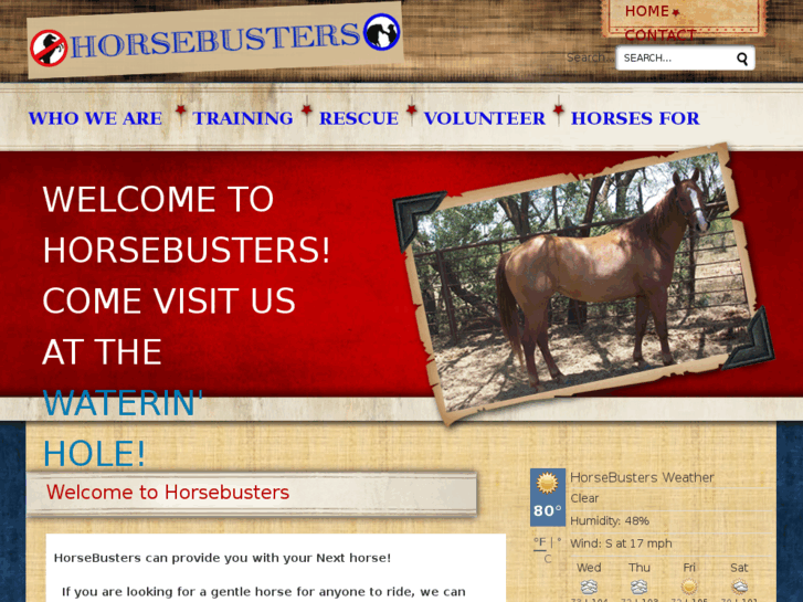 www.horsebusters.biz