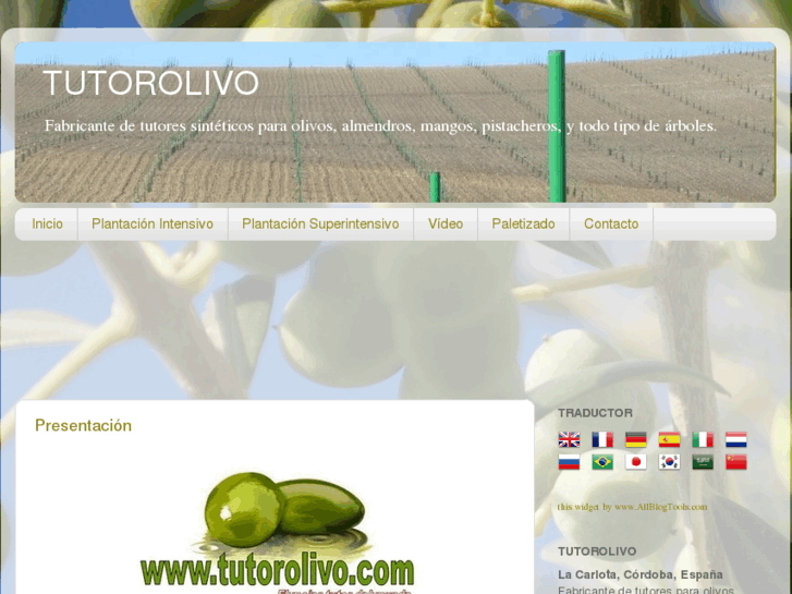 www.tutorolivo.com