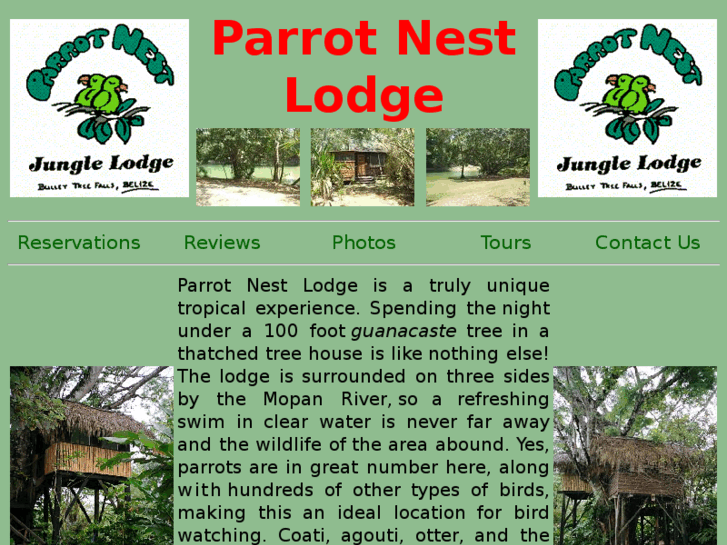 www.parrot-nest.com