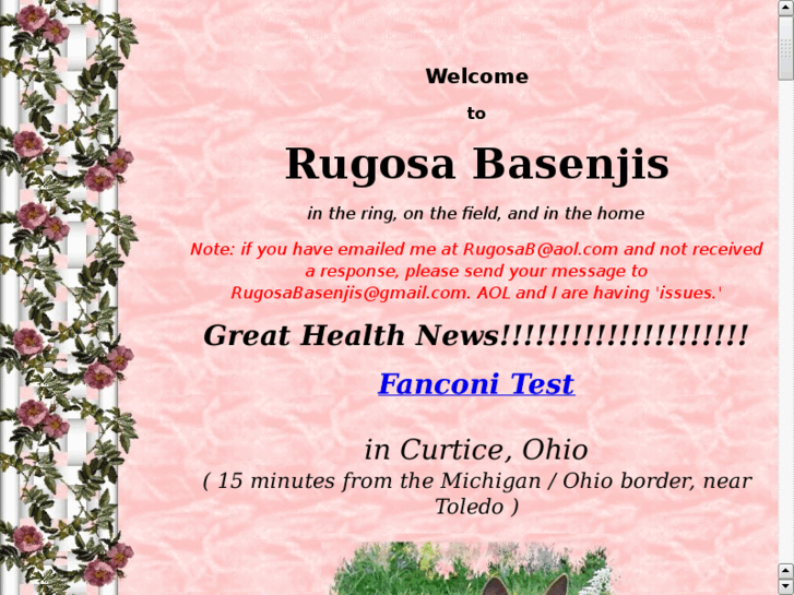 www.rugosabasenjis.com