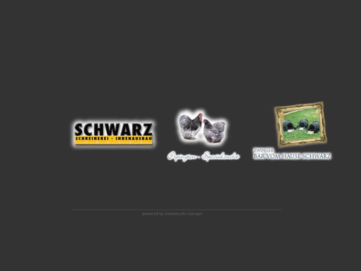 www.schreinerei-schwarz.com