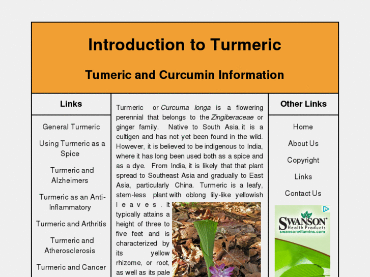 www.turmericinfo.com