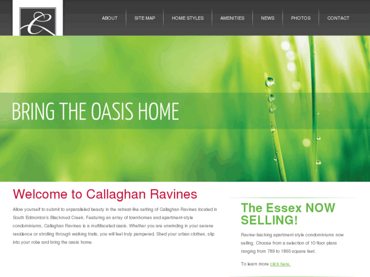 www.callaghanravines.com