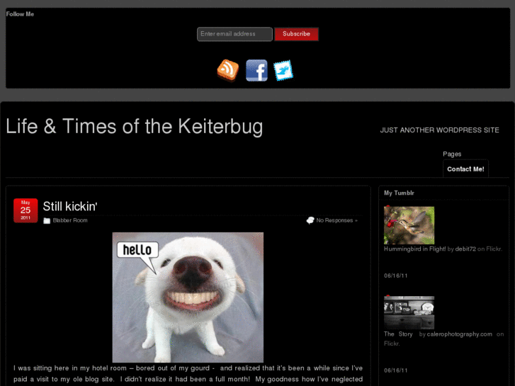 www.keiterbug.com