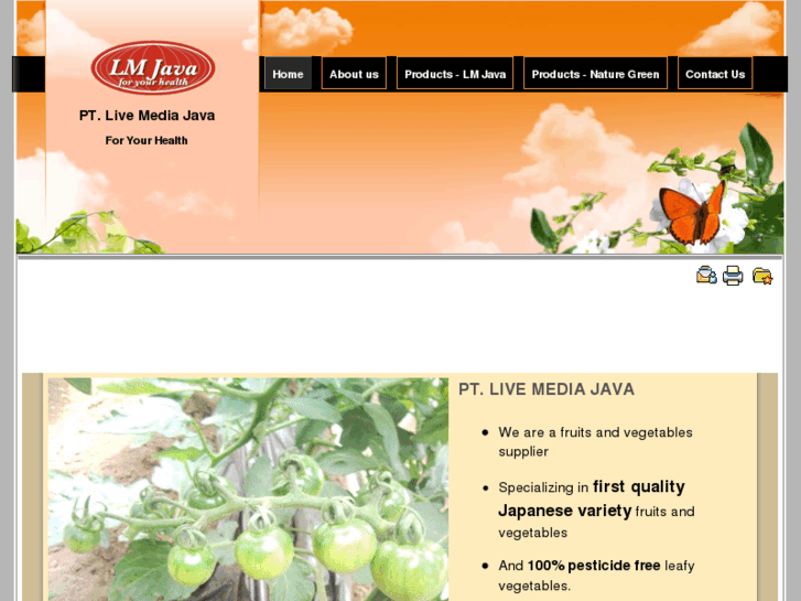 www.lmjava.com