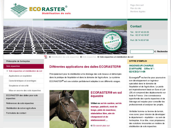 www.dalle-ecoraster.com