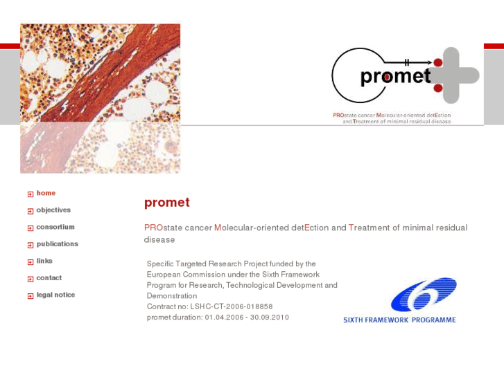 www.fp6-promet.net