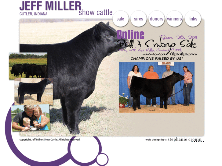 www.jeffmillershowcattle.com