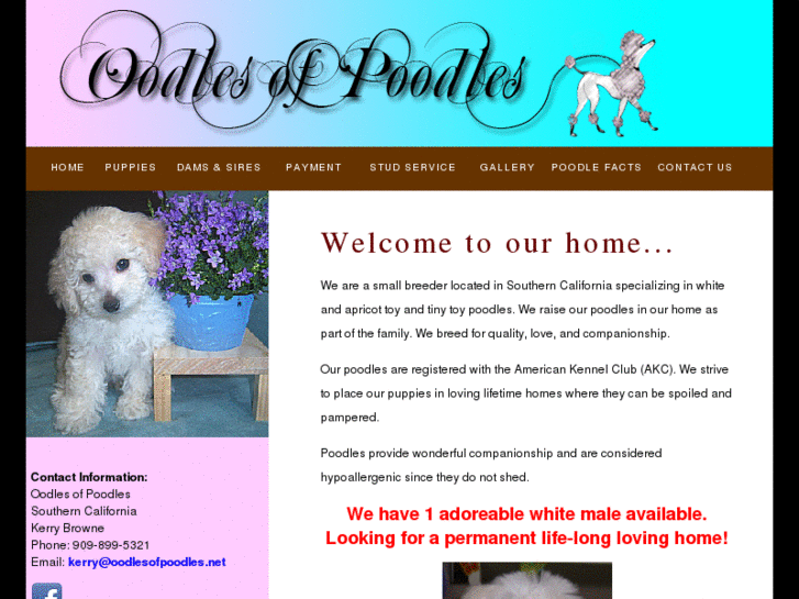 www.oodlesofpoodles.net