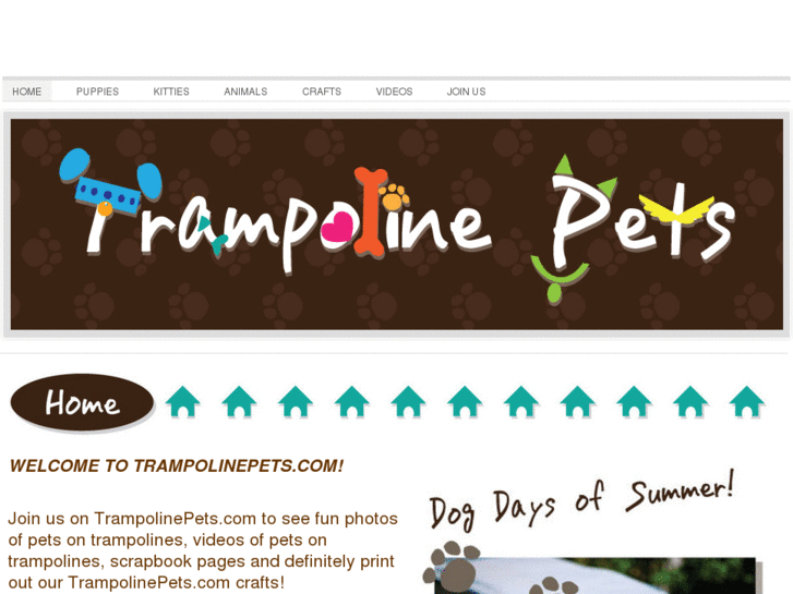 www.trampolinepets.com