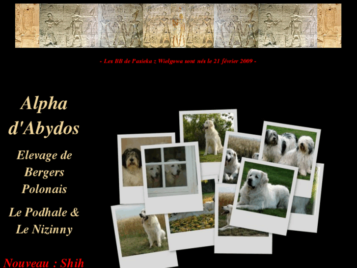 www.alpha-dabydos.com