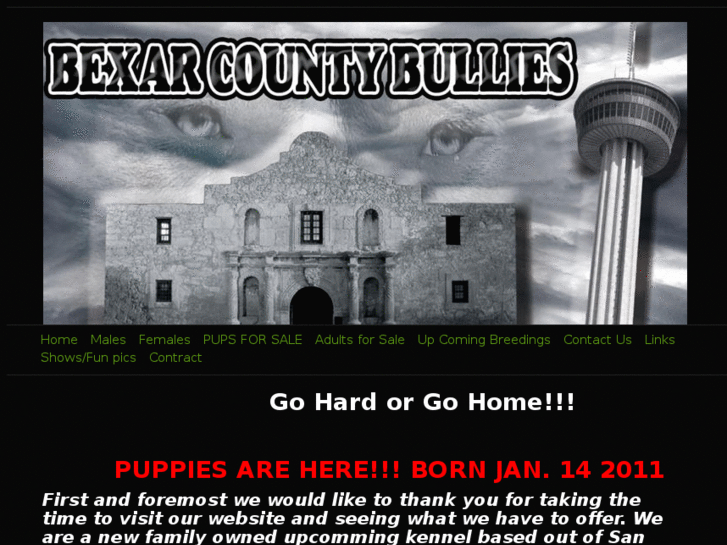 www.bexarcountybullies.com