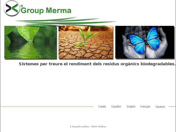 www.groupmerma.com