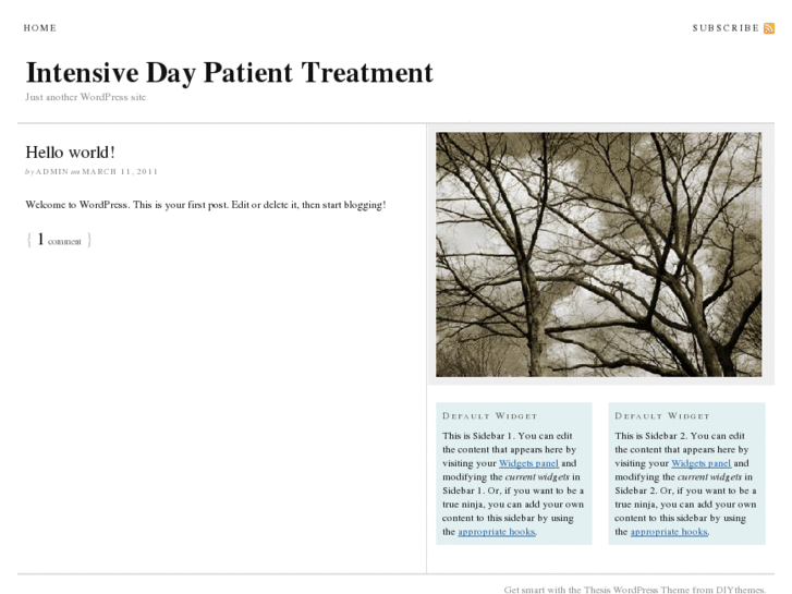 www.intensivedaypatienttreatment.com