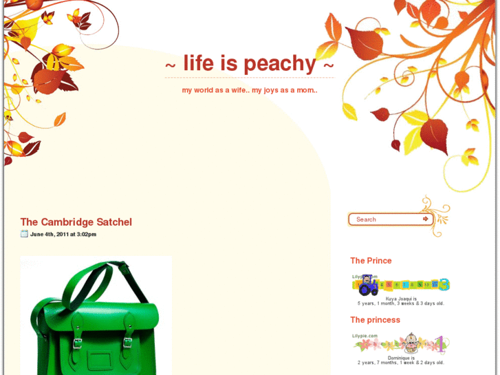 www.mylifeispeachy.com