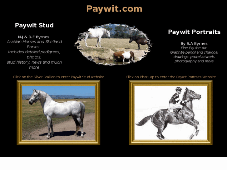 www.paywit.com