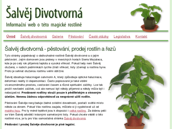 www.salvej-divotvorna.info