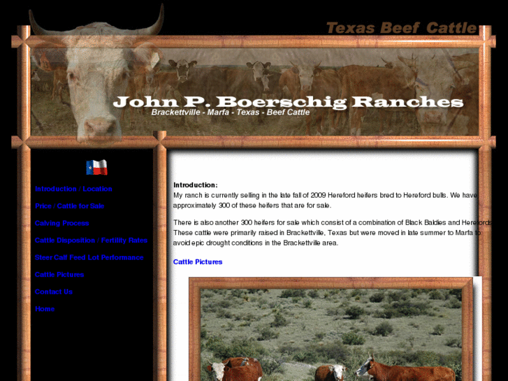 www.texas-beef-cattle.com