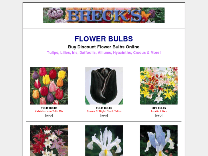 www.tulip-lily-flower-bulbs.com