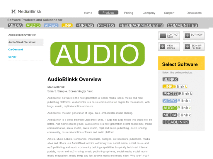 www.audioblinkk.com