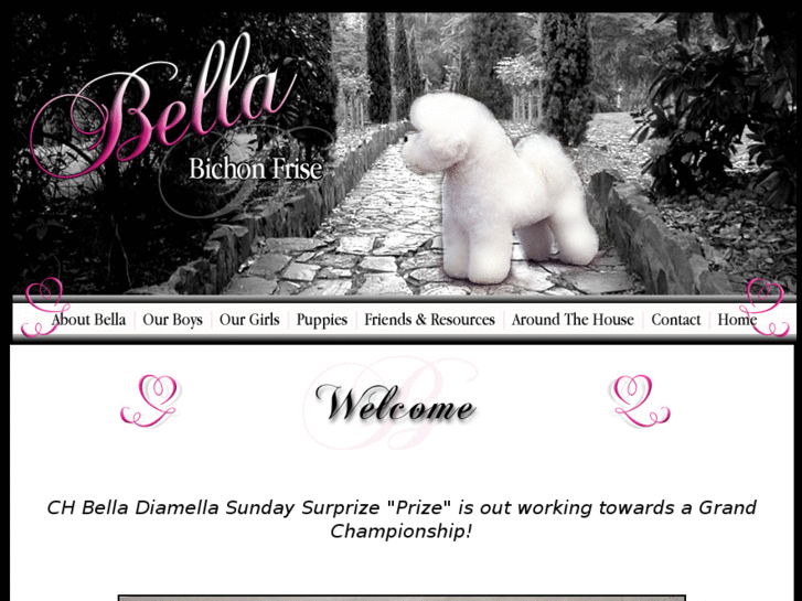 www.bellabichons.com