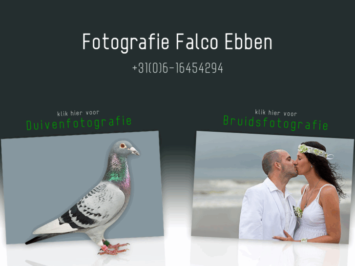 www.falcoebben.com