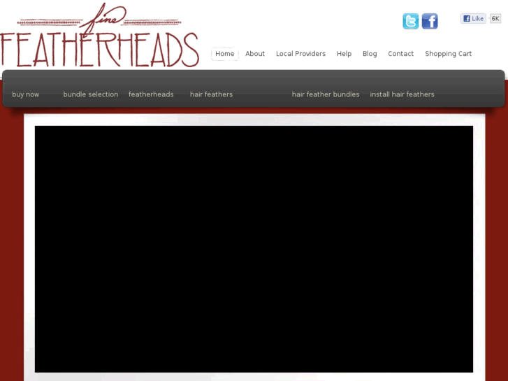 www.featheredextension.com