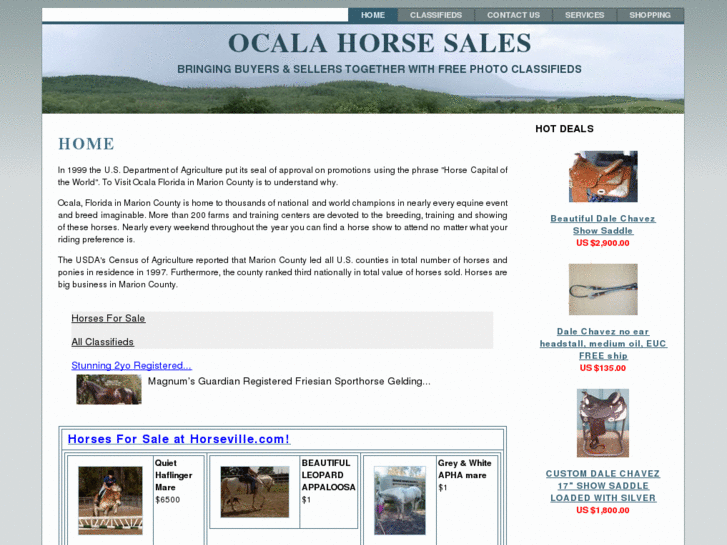 www.ocalahorsesales.com