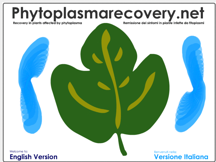 www.phytoplasmarecovery.net