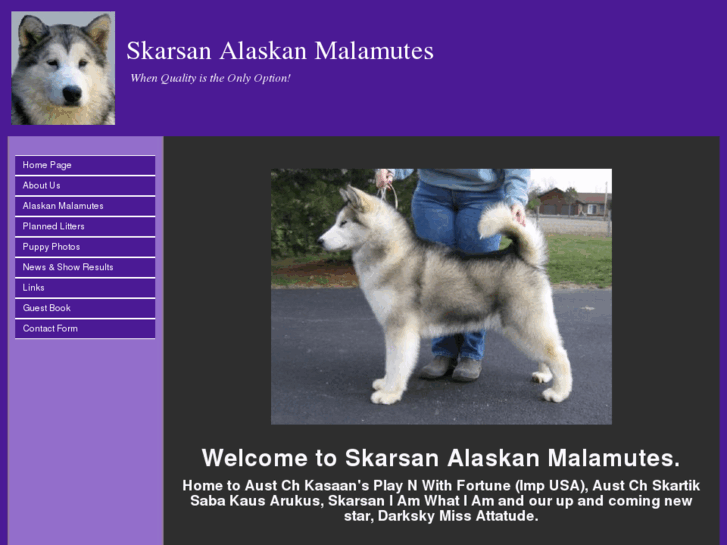 www.skarsan.com