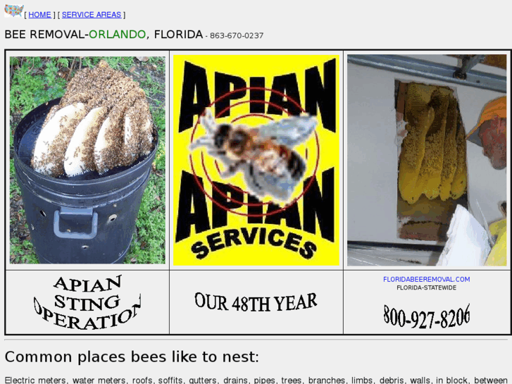 www.beeremovalorlando.com