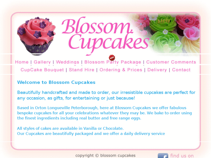 www.blossom-cupcakes.com