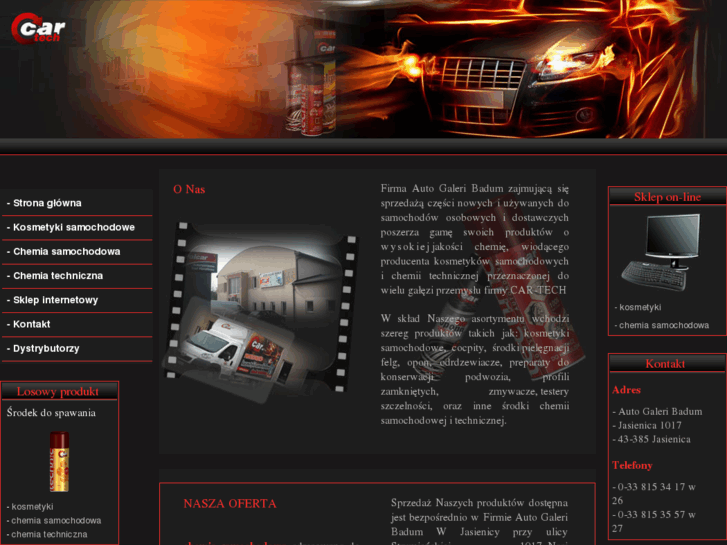 www.cartech.net.pl