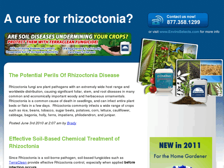 www.controlrhizoctonia.info