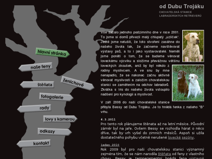 www.labrador-brno.com