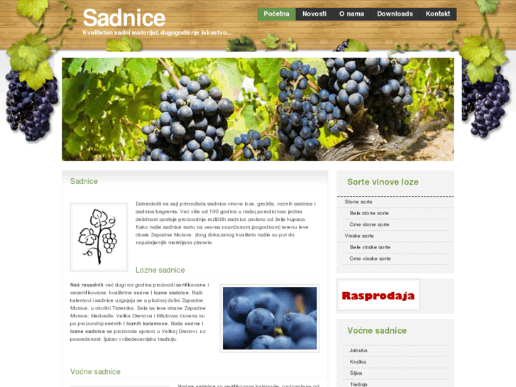 www.sadnicevinoveloze.com