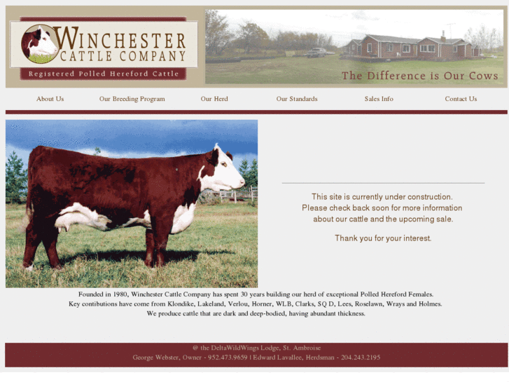 www.winchestercattlecompany.com