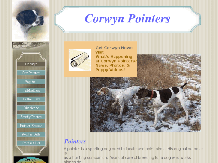 www.corwynpointers.com