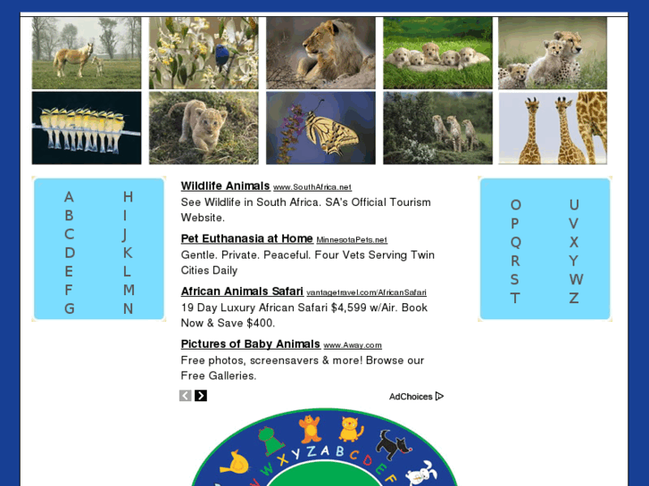 www.list-of-animals.com