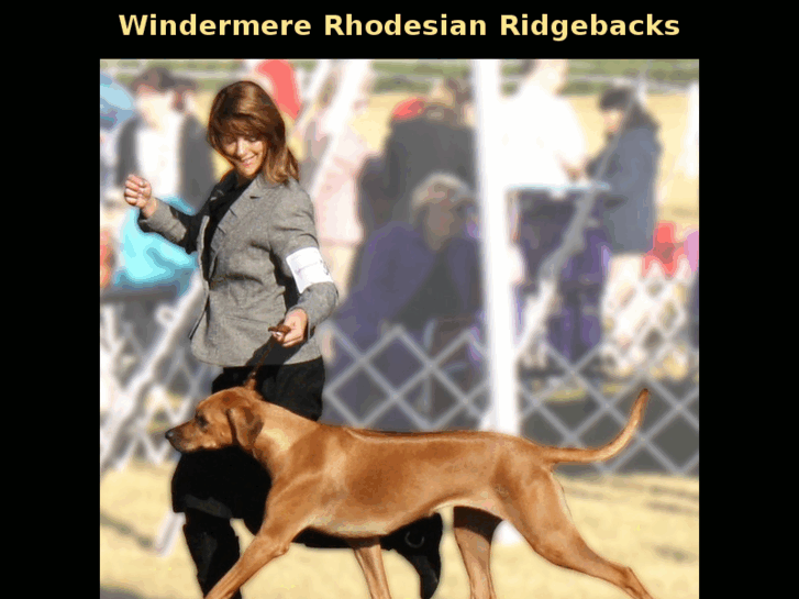 www.windermererr.com