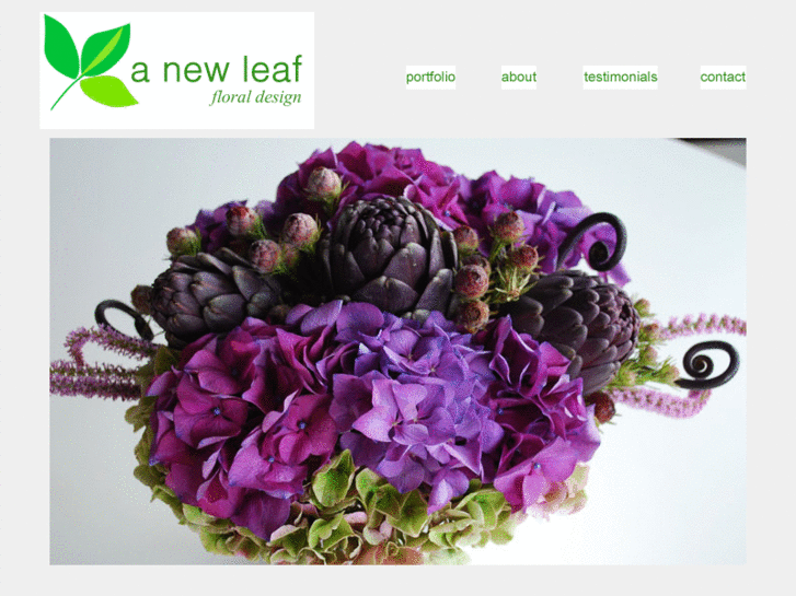 www.anewleafprinceton.com