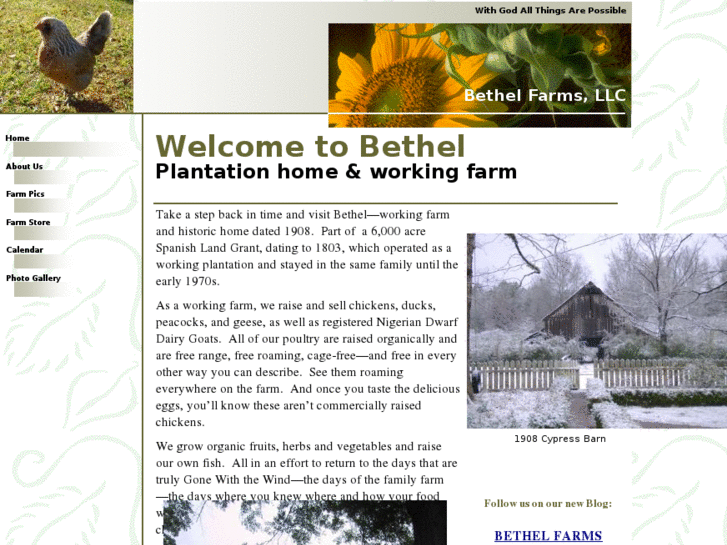 www.bethelplantation.com