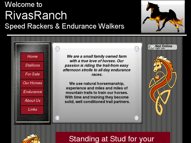 www.endurancewalkers.com