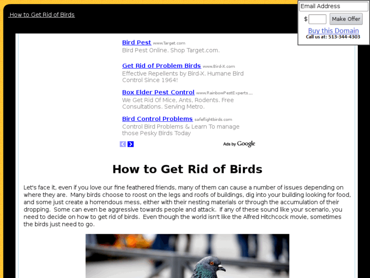 www.howtogetridofbirds.com