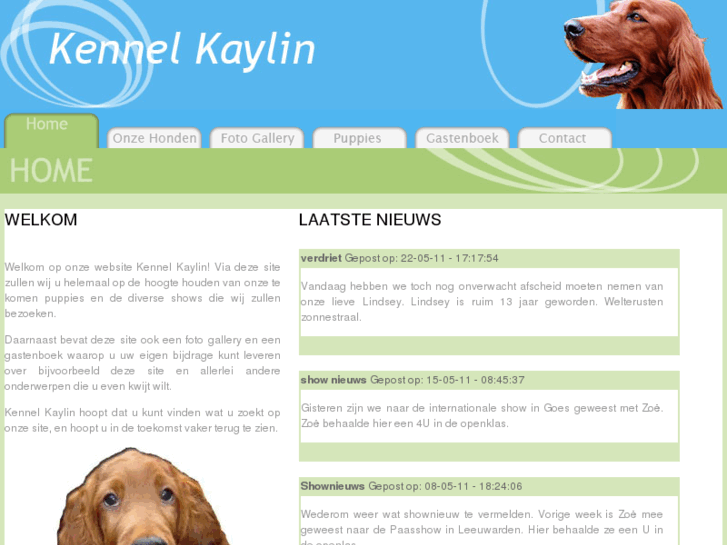 www.irishsetter.nl